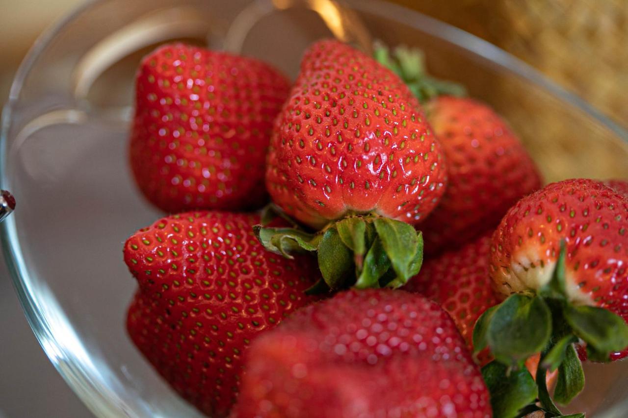 Bed and Breakfast Melba House (Adults Only) Torquay Exteriér fotografie